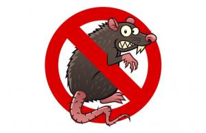 Upozornění - byla provedena deratizace 1